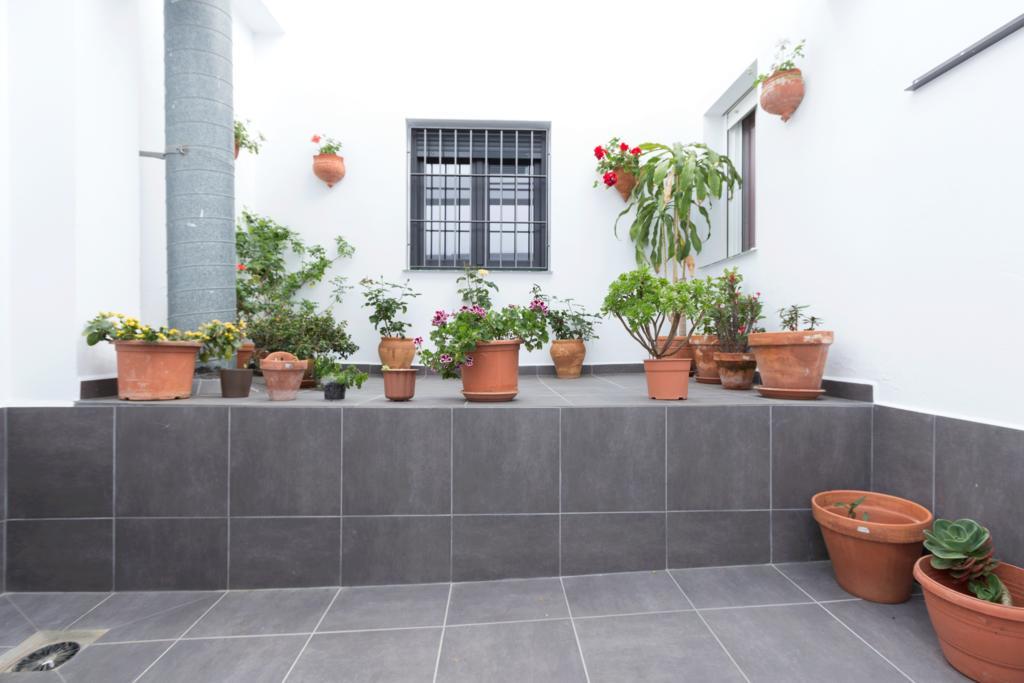 Hostal El Yunque Conil De La Frontera Eksteriør bilde